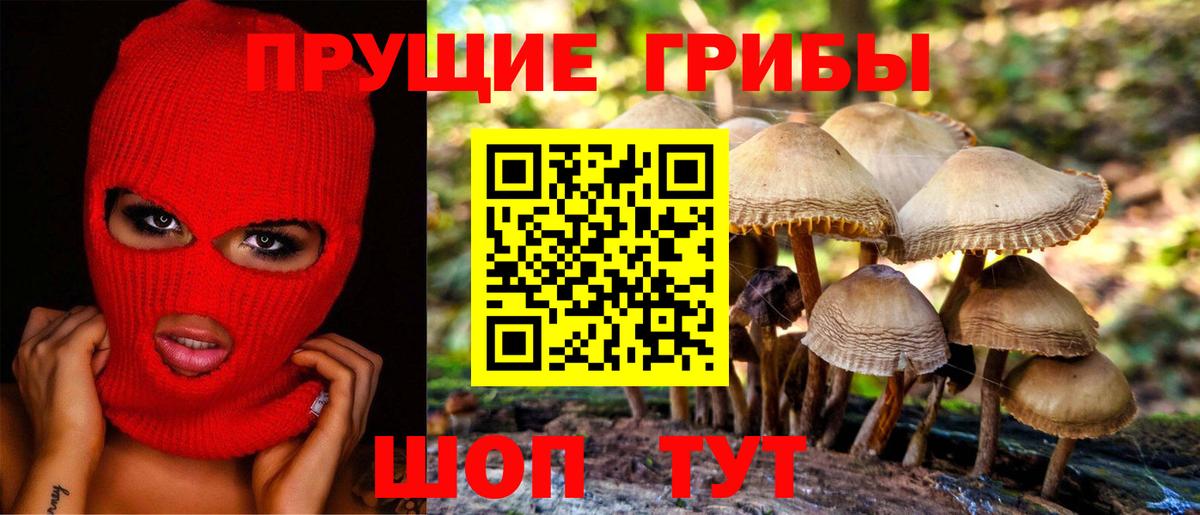 Галлюциногенные грибы GOLDEN TEACHER  Вход с VPN  Зеленодольск 